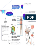 Sistema-nervioso.pdf