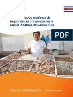MarViva - Invertebrados Marinos Comerciales Pacifico Costa Rica - Guiaespecies PDF