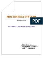 multimedia