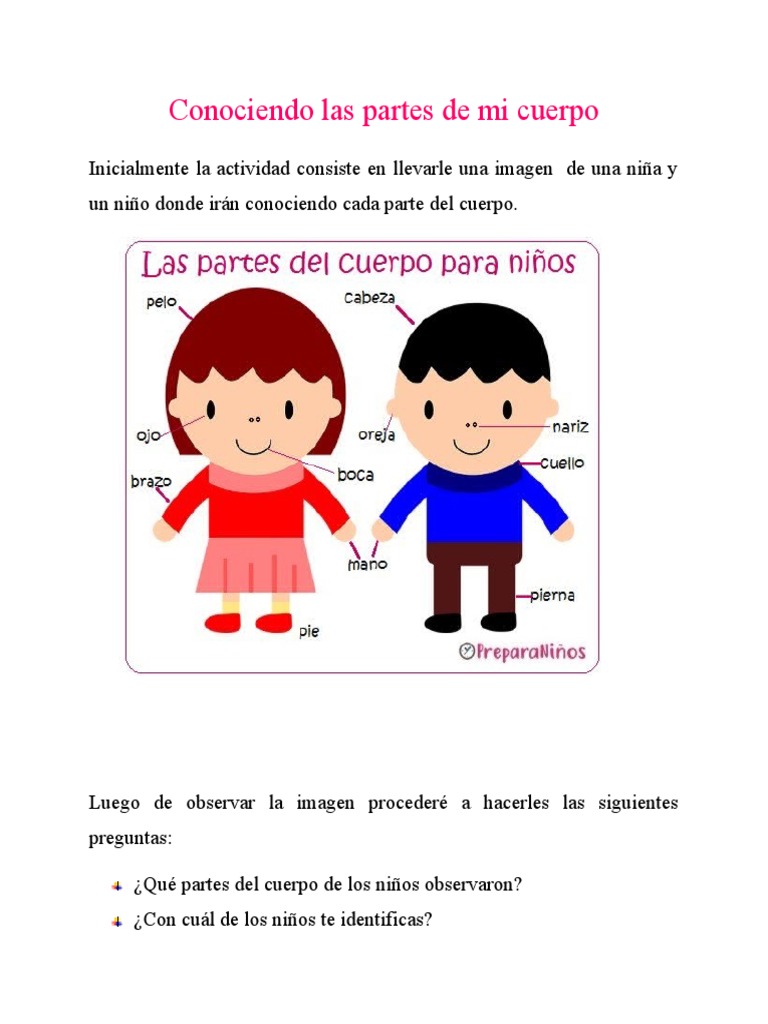 Partes Del Cuerpo Para Ninos