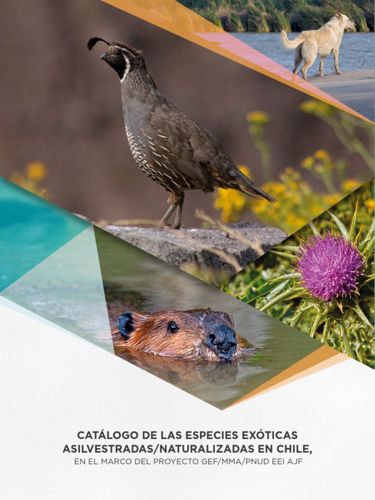 CatálogoEEIInterior Catalogo especies invasoras en CHile 2017 PDF Especies invasivas