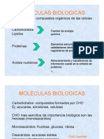 Moleculas Biologicas PDF