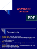 Sindroame Corticale