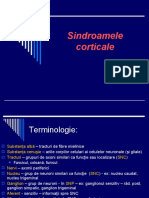 Sindroame corticale