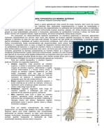medresumos2016-anatomiatopogrfica-membrosuperior-170904035442.pdf