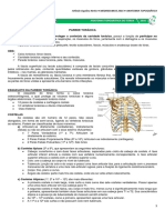 medresumos2016-anatomiatopogrfica-trax-170904035556.pdf