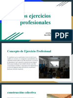 Los Ejercicios Profesionales