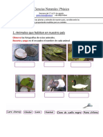 Ciencias Naturales 1ªbàsico17al21agosto