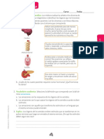 Act Sistema Nervioso y Endocrino