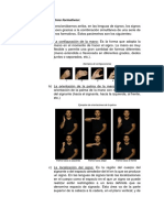 Parámetros formativos lenguas signos