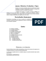 Sociedades Humanas: Sociedad Humana: Historia, Evolución y Tipos