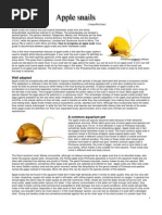 Download Apple Snails by joshua_sx1 SN4758169 doc pdf
