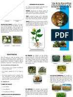 triptico.pdf