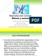 Reproducción Celular