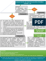 Protocolo Ruta de Notificacion PDF