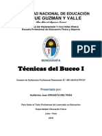 Monografia Técnicas Del Buceo I PDF
