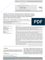 Molecular Detection of Extended Spectrum B-Lactamases, Metallo