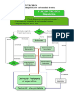 Algoritmo20 Cribaje Diagnostico de Tiroides