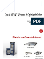 PLATAFORM INTERNET SISTEMAS OPTIMIZACION.pdf