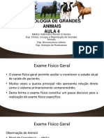 Aula-4-SEMIOLOGIA-DE-GRANDES-ANIMAIS.pdf