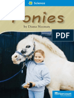 04 Ponies