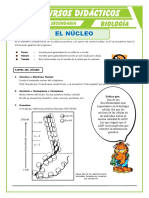 El Núcleo para Cuarto de Secundaria