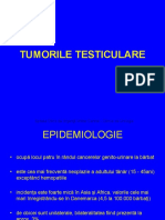 7. Tumorile testiculare