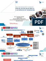 UIII - T2 Organización Del Sector Salud para La Implementación de Los Servicios de Telemedicina PDF