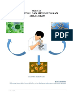 Mengenal Dan Menggunakan Mikroskop