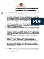 Les 33 Paroles Transformatrices Et Puissantes Du Coach Pognon Pour La Sante, La Protection Et L'abondance