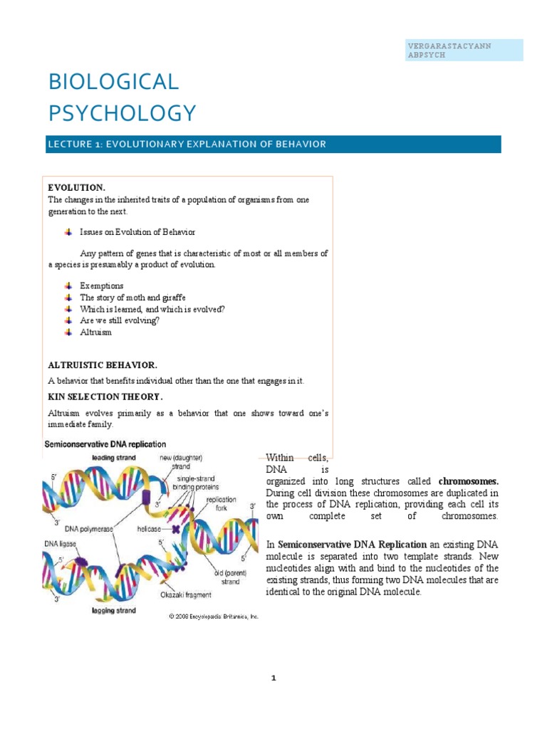 Lecture 1 - Evolution and DNA Replication | PDF | Nucleotides | Dna