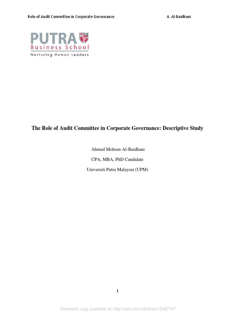 Audit Committee's Role in Governance | PDF | Audit Committee | Internal ...