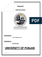 University of Punjab: Assignment