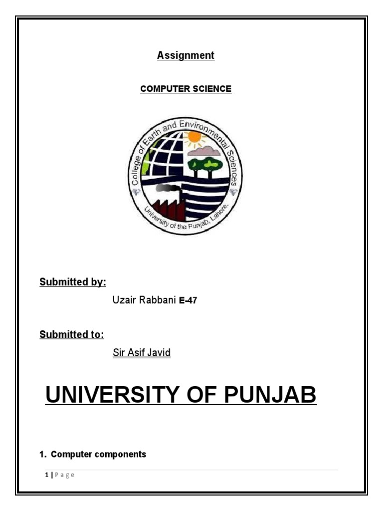 University of Punjab: Assignment | PDF