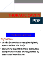 Thorax Lecture - 3