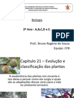 165002965-Evolucao-das-Plantas.pdf