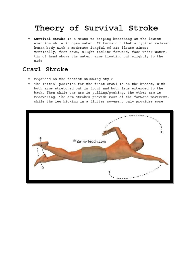 Theory of Survival Stroke, PDF, Swimming