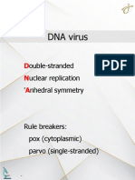 DNA Virus: Ouble-Stranded Uclear Replication ' Nhedral Symmetry