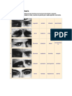 Test de La Mirada - Protocolo de Administración