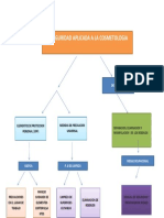 Mapa Conseptual de Bioseguridad Cosmetologica