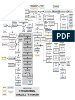 Primary Hyperaldosteronism Pathophysiology