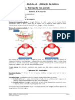 mduloa3-2-transportenosanimais