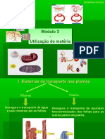 MODULO A3.pdf