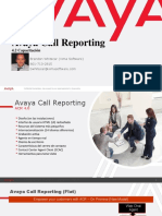 Avaya Call Reporting: 4.2 Capacitación