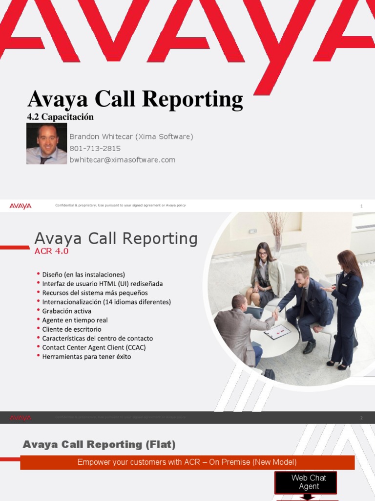 Avaya Call Reporting Overview | PDF | Business | Communication