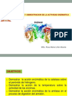 Practica 7 Biol Esam PDF