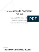 Introduction To Psychology PSY 101: Lecture 3/ Modules 3 & 4 Biological Psychology Lecturer: Catherine Sesay