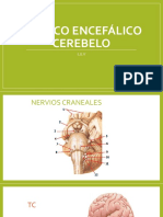 CLASE 7 Tronco Encefálico y Cerebelo PDF