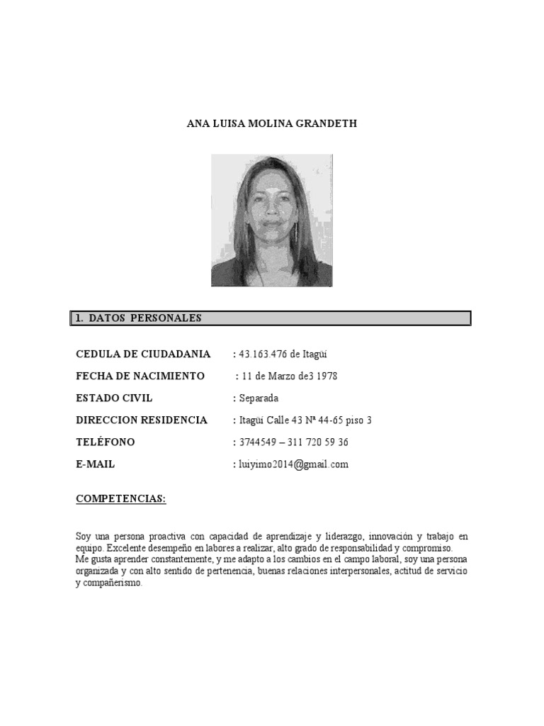 Perfil Profesional de Ana Luisa Molina | PDF | Contador | Servicios ...