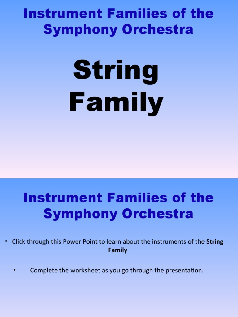 String Family PDF String Instruments Violin